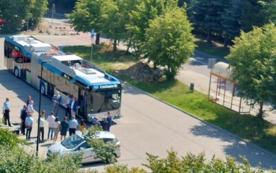Zielony przystanek i ściany przystanków autobusowych – ruszył przetarg